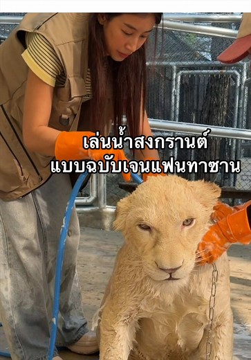 เล่นน้ำสงกรานต์แบบฉบับเจนแฟนทาซาน