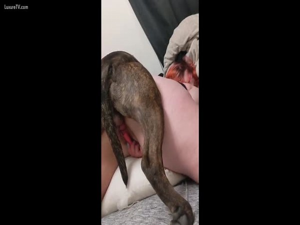 My girlfriend with broken pussy after dog fuck