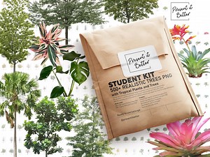 800  Trees PNG Bundle | Tropical Trees & Plants for Architecture, Landscape Plan, Elevation, Watercolor Sketch, Top View Vector PSD - Etsy Canada