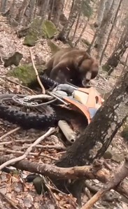 9.6K views · 61 reactions | Nature is full of surprises!!! #nature #surprises | Nature Is Angry | Facebook