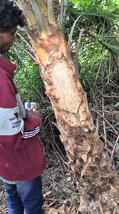 463K views · 5.9K reactions | নতুন করে তৈরি #bengaliminivlog #facebookvideo #reels #bengali #vlog #viral #trending #recipe | Sagar Sagar | Facebook