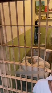 22K views · 126 reactions | The Mystery of Alcatraz: Fake Prisoners and a Daring Escape. | Synopsis of Life | Facebook