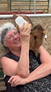 51 reactions · 9 comments | Feeding bottle babies is the best! | Barnyard Buddies Fainting Goats | Facebook