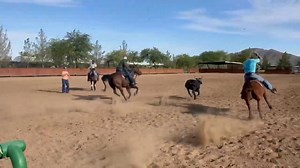 8.8K views · 84 reactions | Usware merry Christmas bigreach lessons available daily private or group I keep it simple and understandable. shopbigreach.com | Camish Jennings | Facebook