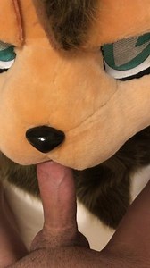 In my fursuit head