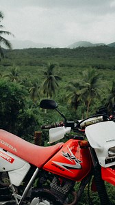 Un beau voyage qui se terminera sur l’île de Siargao aux Philippines. Ambiance surf, moto vintage, slow life, parfait avant un retour dans le froid et la grisaille parisienne 😁 Très heureux d’avoir trouvé un XR 200 pour ces quelques jours ! #siargao #vintagebike #hondamotorcycles #siargaophilippines #siargaoisland | Scrambler of Paris