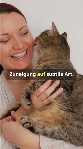 The cat-human relationship: A mystery that fascinates us