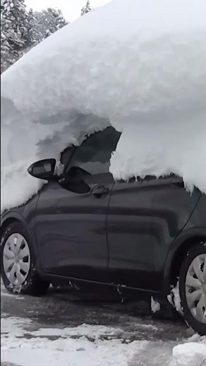Car Stuck in Snow