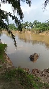 2K views | River Monster Hunter on Reels | Facebook