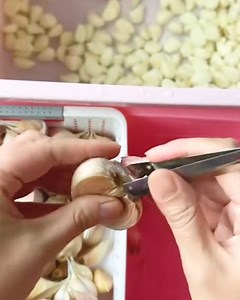 Satisfying video of easily peeling garlic 🧄 | Simple Life
