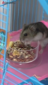 Cage pour hamster PawHut avec circuit de tubes pour éveil et divertissement