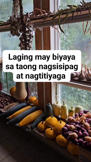 #reelsvideo #Pinayfarmerincanada #harvest #gardening #iplantmyfood #garden #fbreels #reels2023 #reelsfb #reelsviral #gardenlife #farmerlife #farmlife #homegrown | Lay Cote ang Pinay Farmer sa Canada