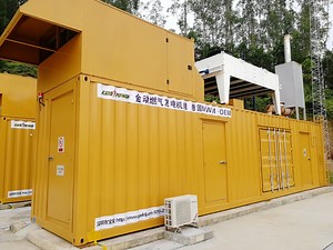 [Hot Item] 250kw 313kVA Biogas/Natural/LPG/CNG/LNG/Methanol Gas Generator