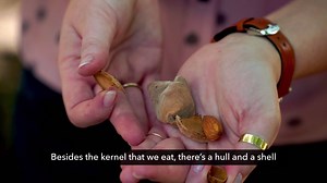 #almondsustainability Kernel: Almonds are a “four-in-one” product. In addition to the almond kernels we love to eat, almond trees also grow “coproducts” – hulls, shells and woody material – all of which are put to good use! http://ow.ly/LlJ030dcW2f | CALIFORNIA ALMONDS