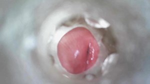 View Inside Fleshlight