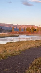 2.1K views · 129 reactions | Get ready to explore the beauty of Yellowstone! From majestic mountains to abundant wildlife, this untamed wilderness will thrill your soul and spark a newfound appreciation for nature. IG: thv11 | Xanterra Travel Collection | Facebook