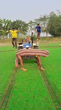 Cow in front of tractor?