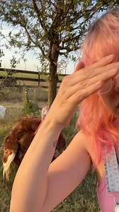 86K views · 5.3K reactions | Red is pure chaos  I MISS SPRING TIME 旅 #animals #turkey #birds #farm #farmlife #chickens | CatAleah | Facebook