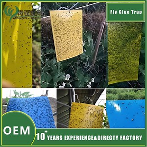 [Hot Item] Ultimate Outdoor Yellow Insect Trap Glue Board for Effective Pest Control