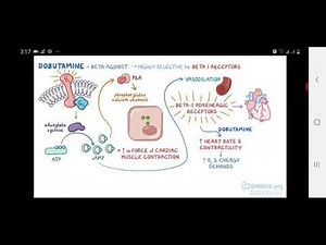 positive inotropic medications compressed