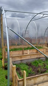 Managed to get them finished and get the back door frame in, I need to get everything concreted in now and start preparing to line the ponds | West View Fancies