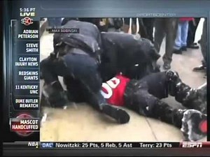 Cincinnati Bearcat mascot arrested for throwing snowballs