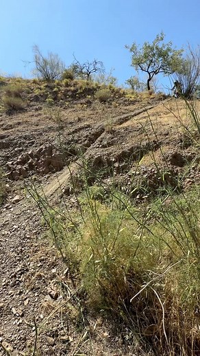 65cc small wheel, 11 years old, mid climb down-shift and nice pivot turn for a safe exit position……nice! I’ve seen grown men suffer on this climb 😂 Fun day out with the boys ✊️✊️✊️ @samcrampton1 @kasey_crampton_122 @cramptonbrothers_ | Lyndon Poskitt
