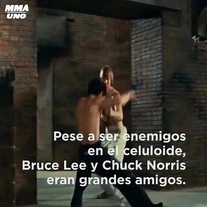 39K views · 249 shares | Chuck Norris  . | MMA.uno | Facebook