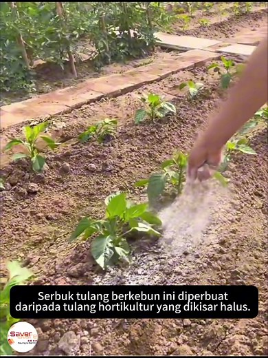 SaverStore on TikTok