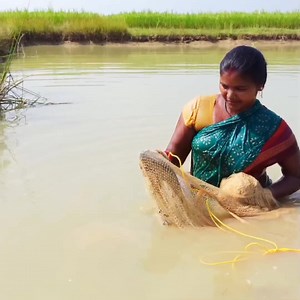 22 reactions | Amazing Village Women Fishing in Village Pond | Village Lady Fishing Channel #fishing #village | Village Women fishing Channel | Facebook