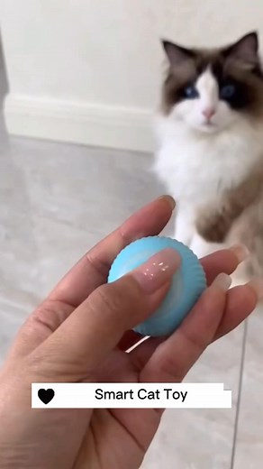 Experience the Purr-fect Playtime with Pet Smart Rolling Ball Toy!. Want one? Check the comment section! | The Cat's Life