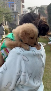 31 reactions | Shlloka on Reels | Facebook