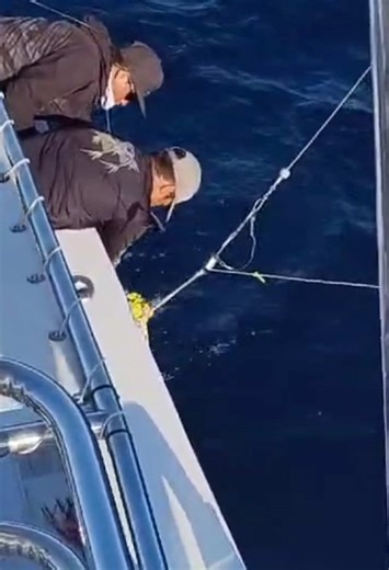 Boats Baja Fishing Charters on TikTok