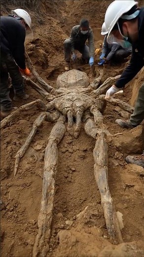 Paleontologists Unearth Giant Prehistoric Spider in Tasmania