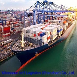 [Hot Item] Fastest Ocean/Sea Shipping 20/40 Feet Container From China to Japan