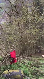 Logging Burg Hohenwerfen | Wucher Helicopter