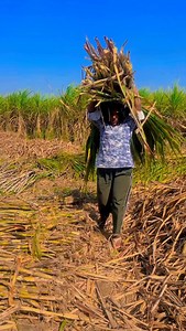 340K views · 15K reactions | Gano ki video | Raju Tejyan | Facebook