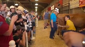 Milk a cow then milk a bull, learn about genders | Russian Jews