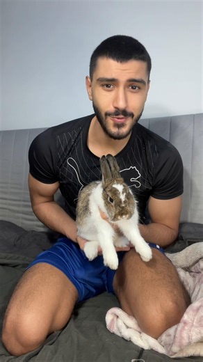 Living with a Pet Rabbit: My Honest Experience