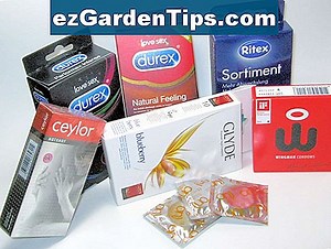 Wie man einen Clethra-Strauch kürzt 🌱 Tipps Gärtner - De.ezGardenTips.com