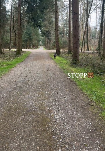 Michelle Hope on TikTok