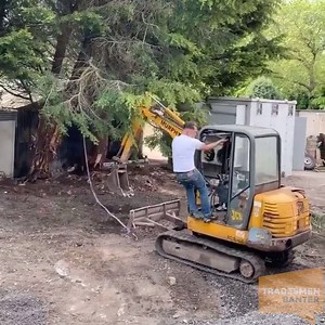 ⚠️⚠️ Controlled Tree Surgery gone wrong ⚠️⚠️ | The Tradesman