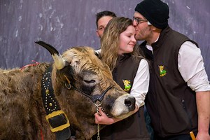 Salon de l'Agriculture : une dixième victoire du Gaec élevage Vidalenc au concours de la race aubrac