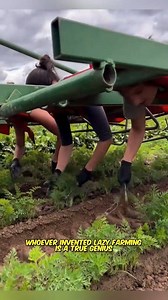 کسانوں کیلئے جنت جیسا نظام،🤗 | Baba Gee