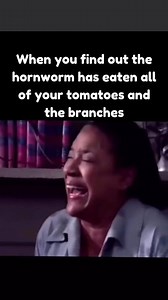 1K views · 20 reactions | Get them hornworms before they get you!...