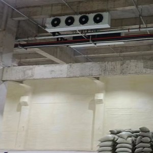 [Hot Item] Custom Cold Room for Store Meats with Quick Freezing Function