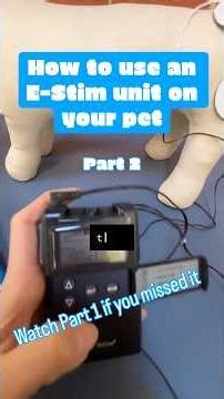 How to use an E-Stim unit on your pet - Part 2