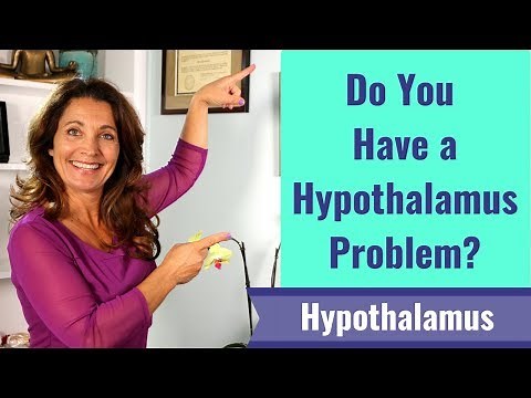 Poor Energy | Do you have a hypothalamus problem?