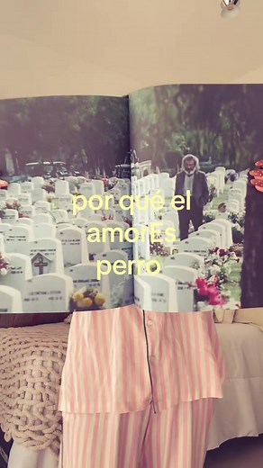 ¿Por qué ‘El amor es perro’? Significado en Amores Perros