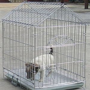 [Hot Item] Yq High Quality Welded Wire Mesh Poultry Cages Mesh